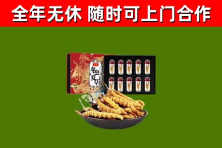 南漳回收冬虫夏草价格